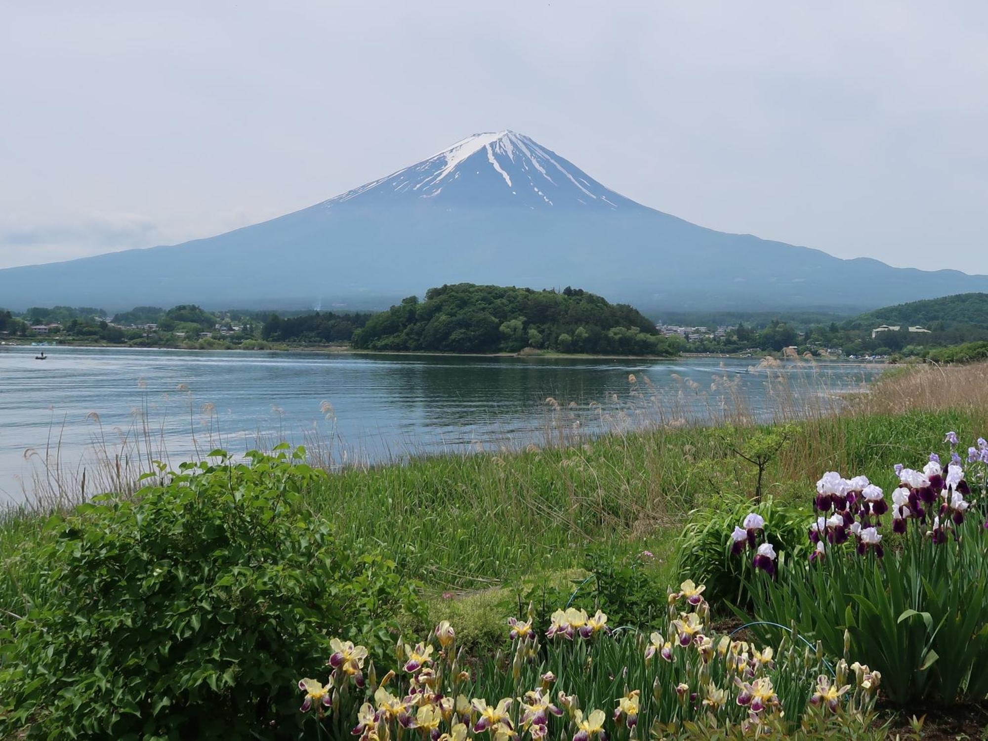 Kuranoyado Matsuya Villa Fujikawaguchiko Exteriör bild