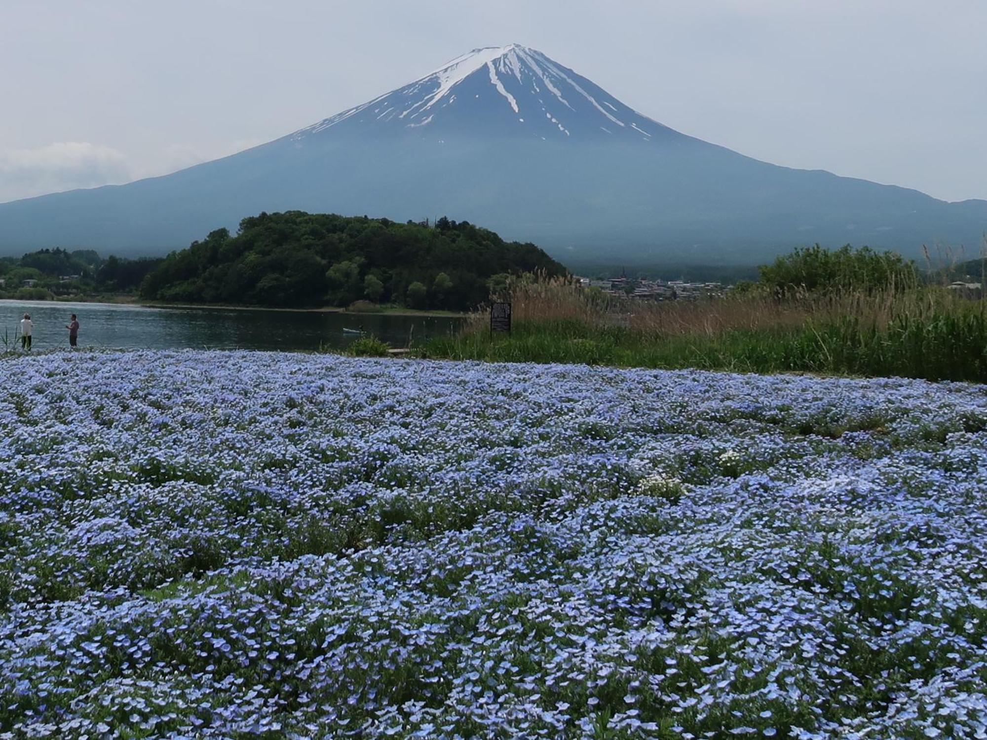 Kuranoyado Matsuya Villa Fujikawaguchiko Exteriör bild